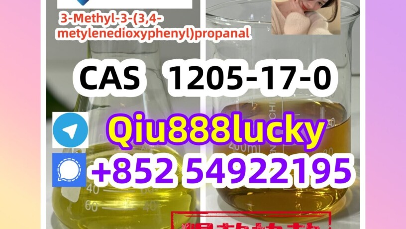 1205-17-0-3-methyl-3-34-metylenedioxyphenylpropanal-big-0