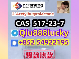 517-23-7  2-Acetylbutyrolactone