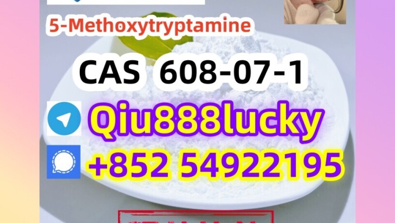 608-07-1-5-methoxytryptamine-big-0