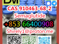 cas-910463-68-2-semaglutide-high-quality-good-price-small-2