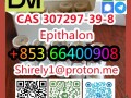 cas-307297-39-8-epithalon-high-quality-good-price-small-0