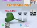 new-arrival-retatrutide-cas-2381089-83-2-high-purity-weight-loss-peptide-nice-price-small-2