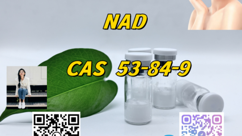 bpc157-cas137525-51-0-nice-price-weight-loss-cagrilintide-cas-1415456-99-3-factory-wholesale-price-big-8