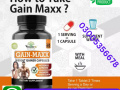 vihan-weight-gainer-maxx-capsule-in-sahiwal-03005356678-100-pure-small-0