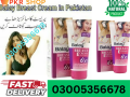 balay-breast-tightening-cream-in-sahiwal-03005356678-100-pure-small-0