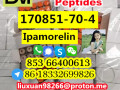 manufacturer-supply-raw-material-cas-170851-70-4-ipamorelin-small-4