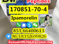 manufacturer-supply-raw-material-cas-170851-70-4-ipamorelin-small-2