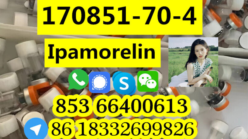 manufacturer-supply-raw-material-cas-170851-70-4-ipamorelin-big-0