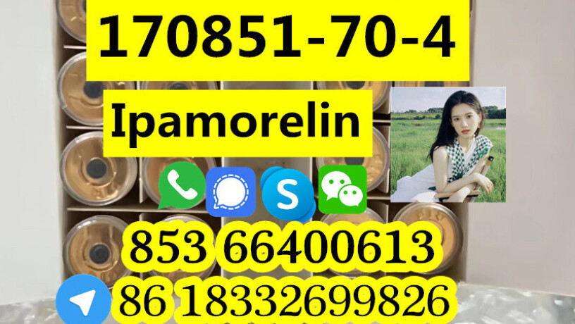 manufacturer-supply-raw-material-cas-170851-70-4-ipamorelin-big-8