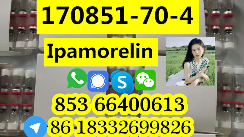 manufacturer-supply-raw-material-cas-170851-70-4-ipamorelin-big-9