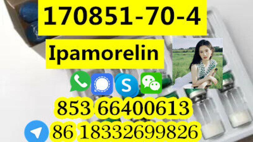 manufacturer-supply-raw-material-cas-170851-70-4-ipamorelin-big-1