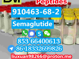 Manufacturer Supply Raw Material CAS 910463-68-2 Semaglutide