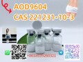 high-purity-semaglutide-cas-910463-68-2-fast-and-safe-deliver-adipotide-small-3