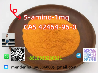 Sample wholesale manufacturer factory price 5-amino-1mq CAS42464-96-0