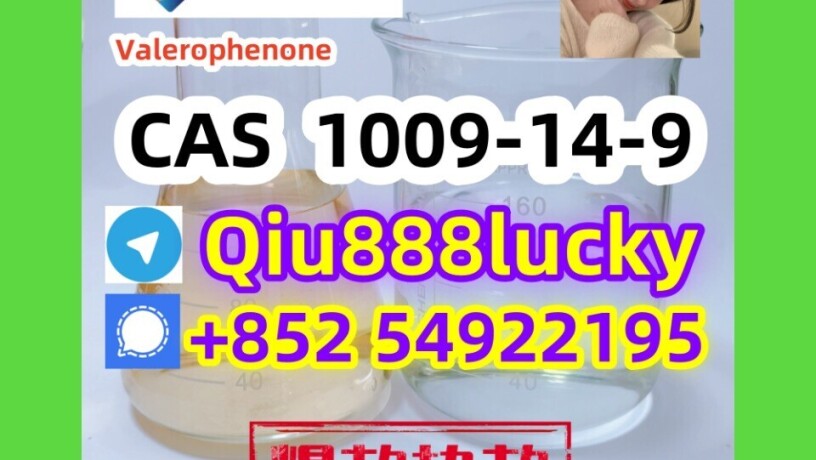 1009-14-9-valerophenone-big-0