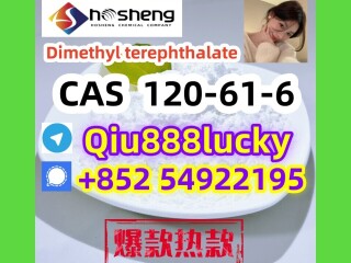 120-61-6  Dimethyl terephthalate