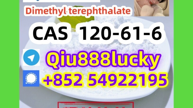 120-61-6-dimethyl-terephthalate-big-0