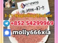 109555-87-5-3-1-naphthoylindole-small-0