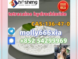 136-47-0	tetracaine hydrochloride