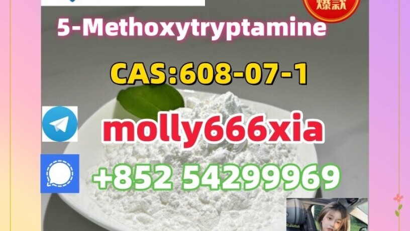 608-07-1-5-methoxytryptamine-big-0