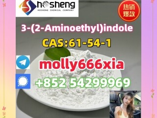 61-54-1	3-(2-Aminoethyl)indole