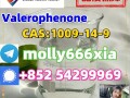 1009-14-9-valerophenone-small-0