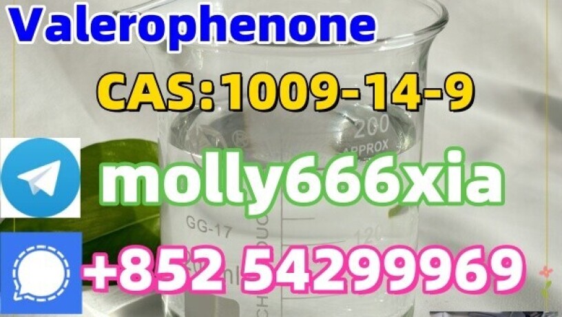 1009-14-9-valerophenone-big-0