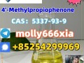 5337-93-9-4-methylpropiophenone-small-0