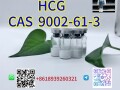 sample-high-purity-peptide-wholesale-factory-manufacturer-bpc157-cas137525-51-0-small-8