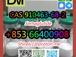 CAS 910463-68-2 Semaglutide high quality good price