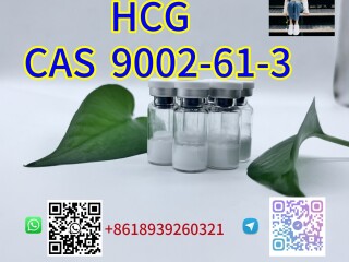 HCG CAS 9002-61-3New Arrival Retatrutide CAS 2381089-83-2 High Purity Weight Loss Peptide Nice Price