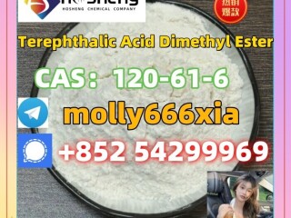 120-61-6	Terephthalic Acid Dimethyl Ester