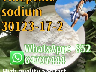 Tianeptine 30123-17-2