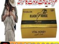 black-horse-golden-vip-vital-honey-in-pakistan-03027800897-order-now-small-0