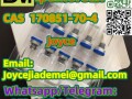 cas-170851-717-ipamorelin-2mg-5mg-10mg-vials-with-high-purity-small-4