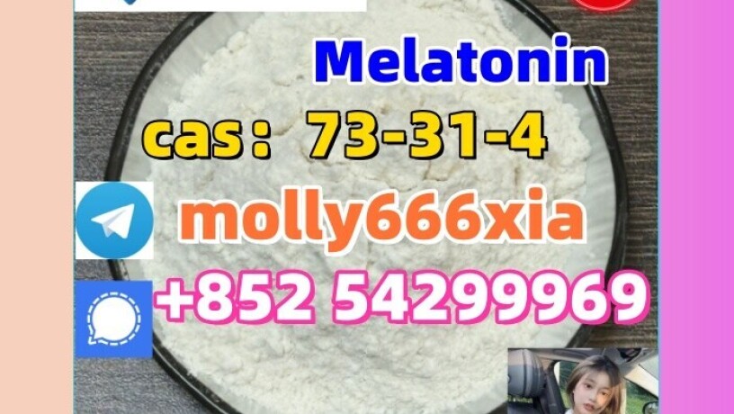 73-31-4-melatonin-big-0