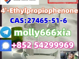 27465-51-6	4'-Ethylpropiophenone