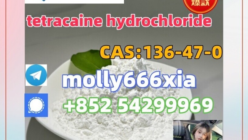 136-47-0-tetracaine-hydrochloride-big-0