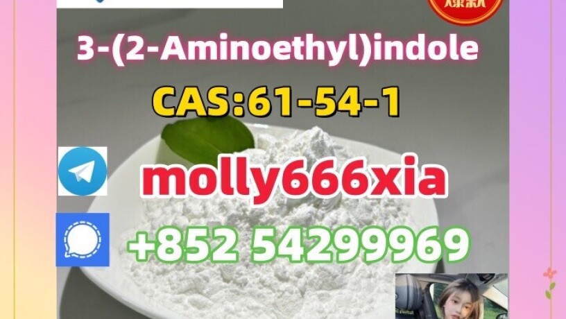 61-54-1-3-2-aminoethylindole-big-0