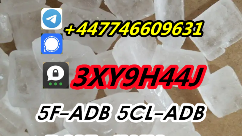 cas137350-66-4-5cladba5cl-adb-a5f-mdmb-22016cl4fadb-big-9