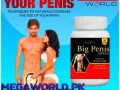 big-penis-capsule-in-pakistan-03011329682order-now-small-0