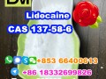 manufacturer-supply-raw-material-cas-137-58-6-lidocaine-small-5