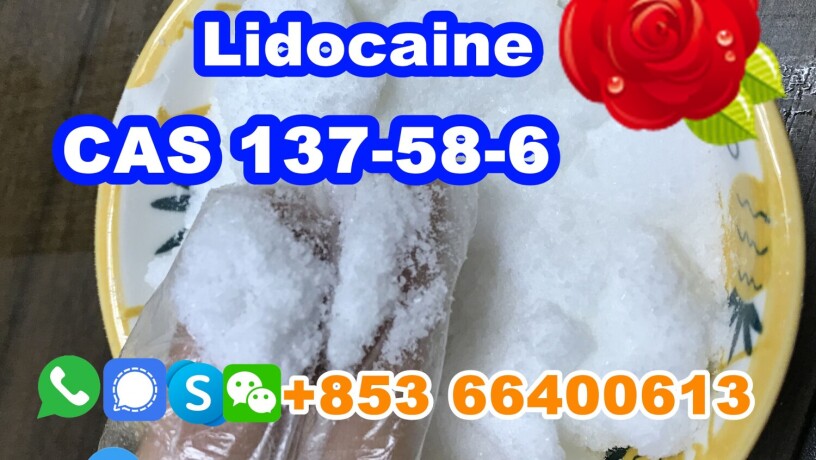 manufacturer-supply-raw-material-cas-137-58-6-lidocaine-big-9