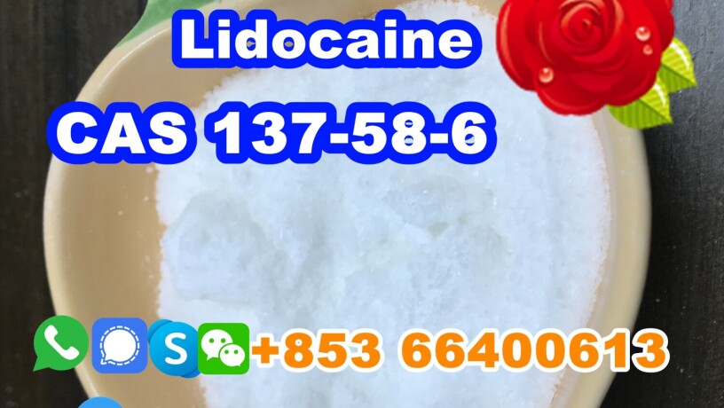 manufacturer-supply-raw-material-cas-137-58-6-lidocaine-big-4