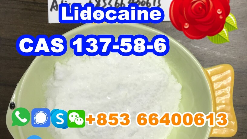 manufacturer-supply-raw-material-cas-137-58-6-lidocaine-big-0