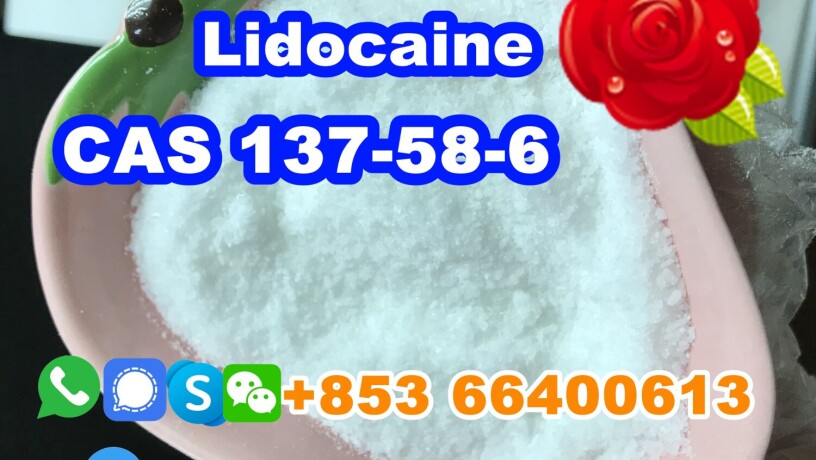 manufacturer-supply-raw-material-cas-137-58-6-lidocaine-big-1