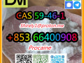 cas-59-46-1-procaine-with-high-quality-hot-sale-stock-small-6