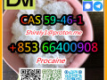 cas-59-46-1-procaine-with-high-quality-hot-sale-stock-small-2