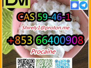 CAS 59-46-1 Procaine with high quality hot sale stock