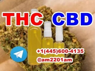 Konopné květy, Kwiaty konopi, Fleurs de cannabis, Cannabisblüten, Cannabis flowers, კანაფის ყვავილები,THC CBD Sativex Nabiximols